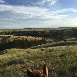 Meet your Posher, Cody